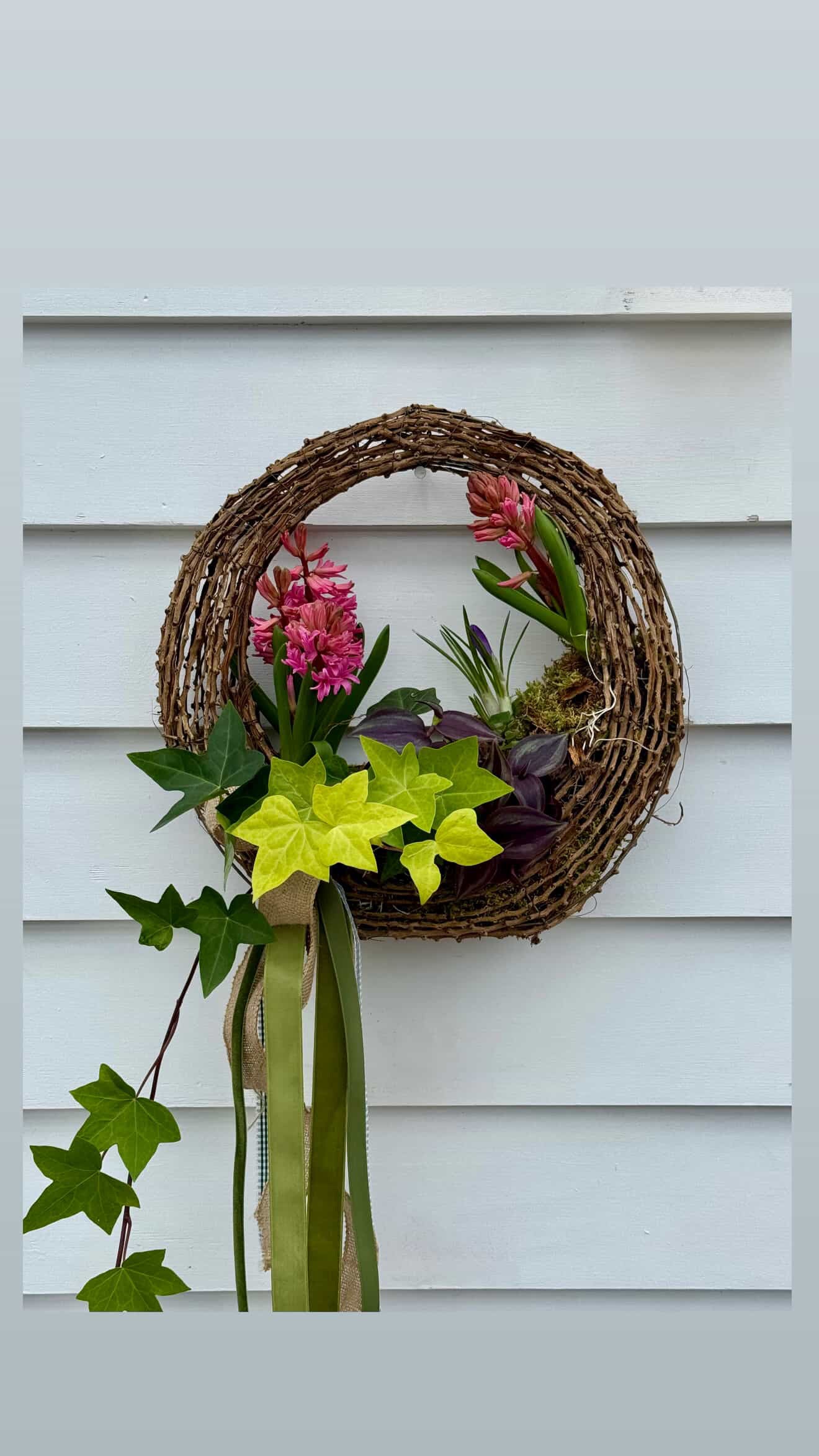 Living Wreath Workshop