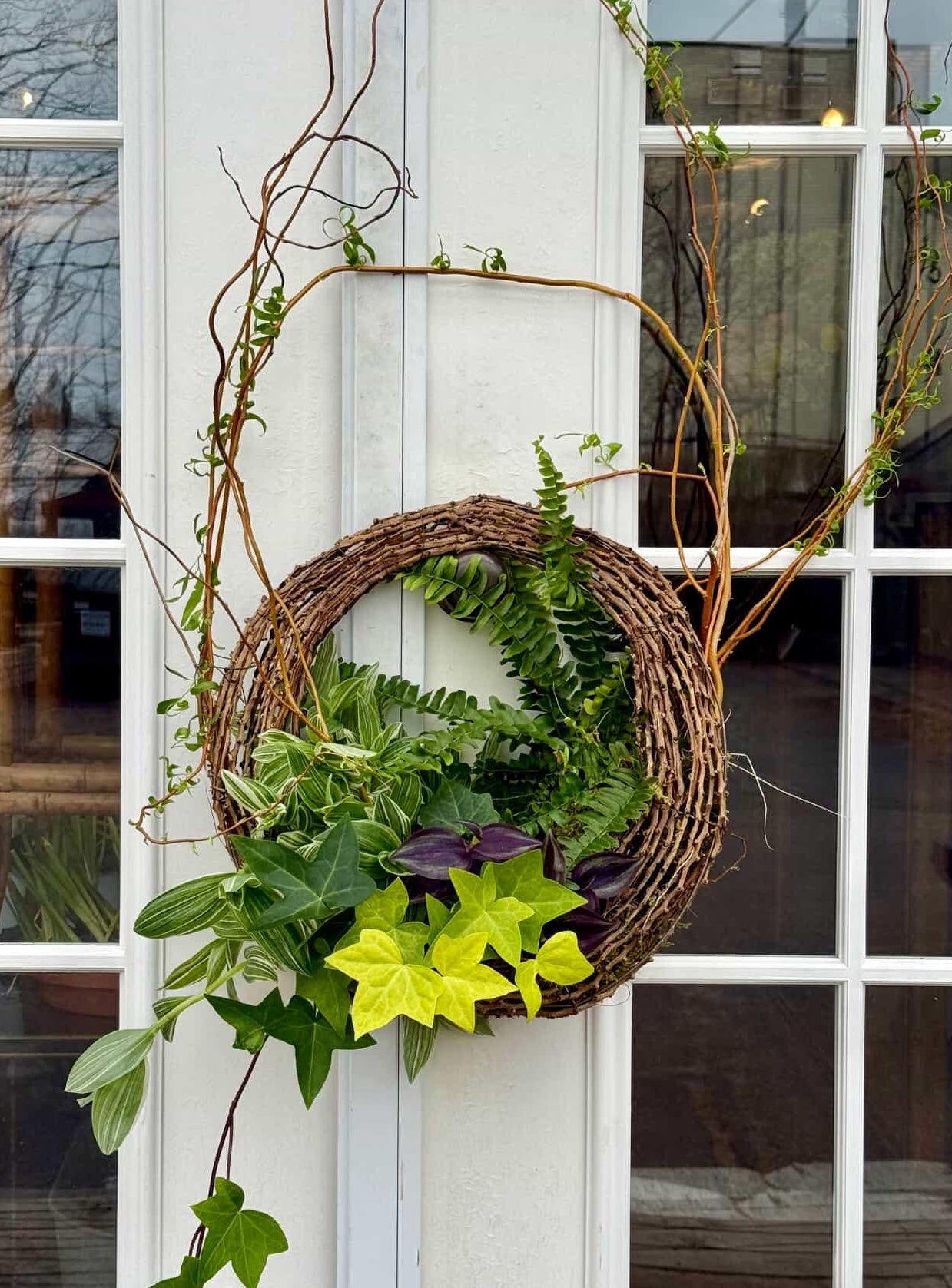 Living Wreath Workshop