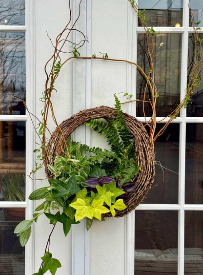 Living Wreath Workshop