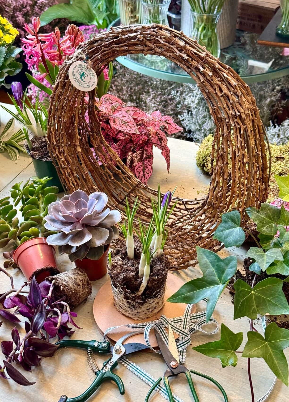 Living Wreath Workshop