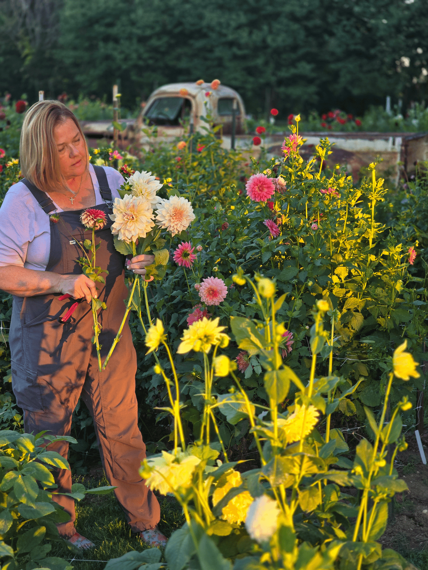 Dahlias 101 Workshop | May 14