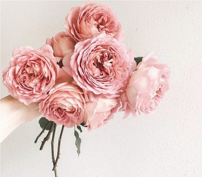 Mother's Day Flower Bouquet Pre-Orders