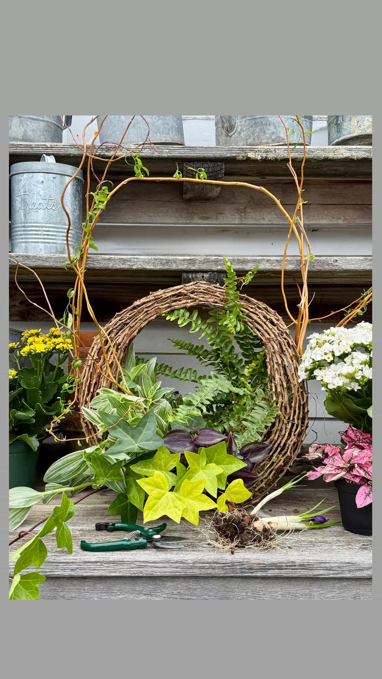 Living Wreath Workshop