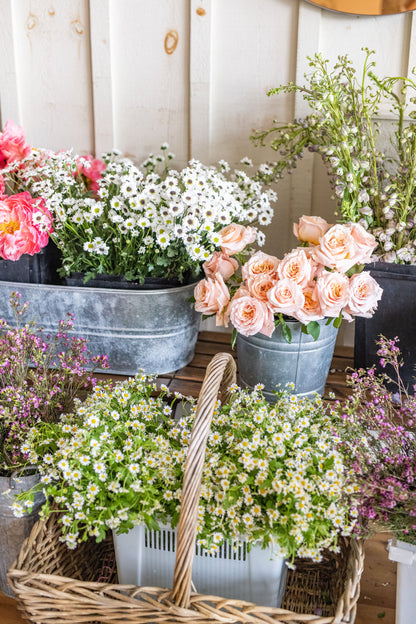 12-Week Bouquet Subscription | Thursday Pickup
