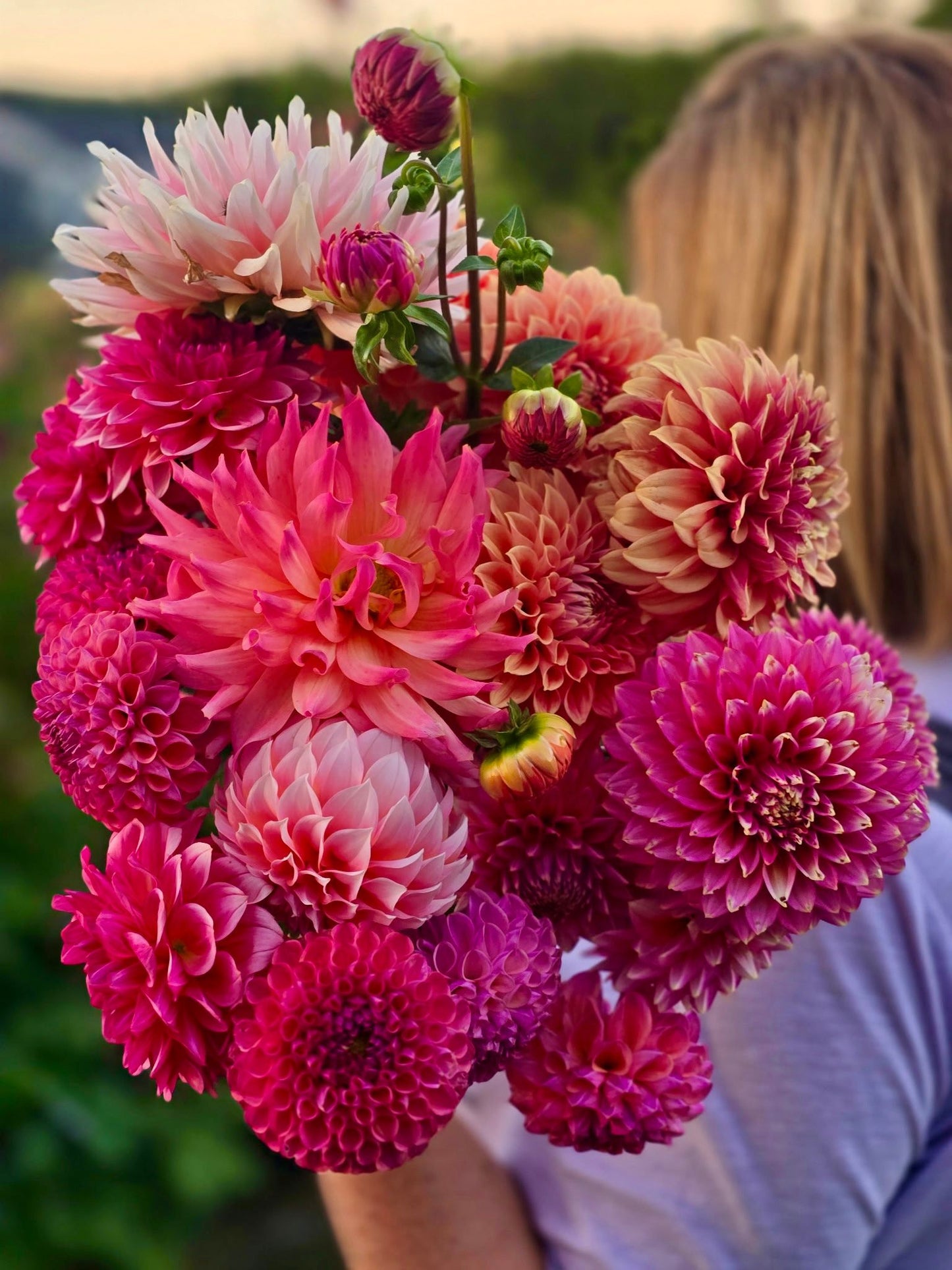 Dahlias 101 Workshop | May 14