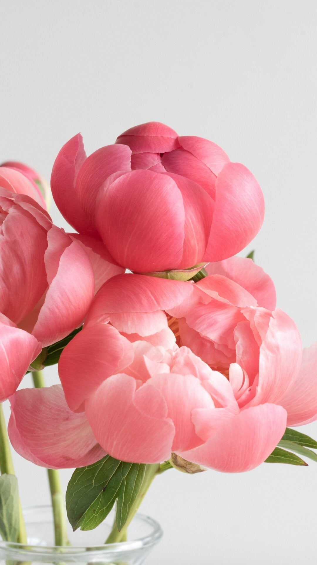 Mother's Day Flower Bouquet Pre-Orders
